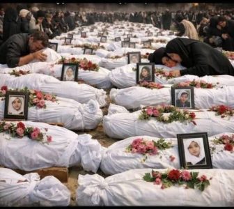 La guerra no se puede aceptar como un dato fáctico y administrarla