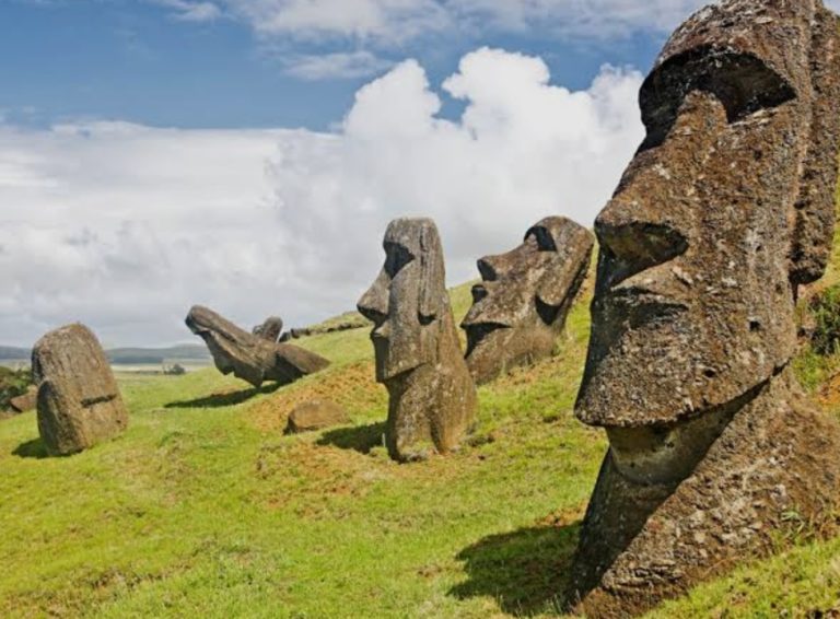 RAPA NUI: Abejas en riesgo, grandes polinizadoras de la isla. Efecto de proyecto WOM.