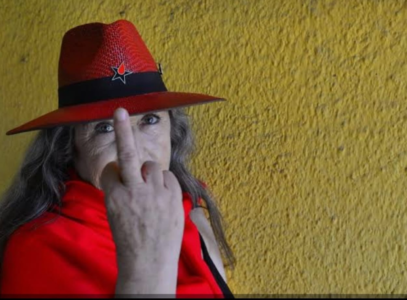 «Algo anda mal», Pía Barros