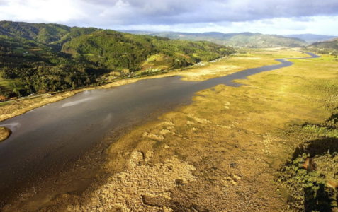 La comunidad a la defensa del Humedal Río Lingüe (600 Hectáreas)