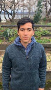 Huertos comunitarios mapuche, el gran desafío