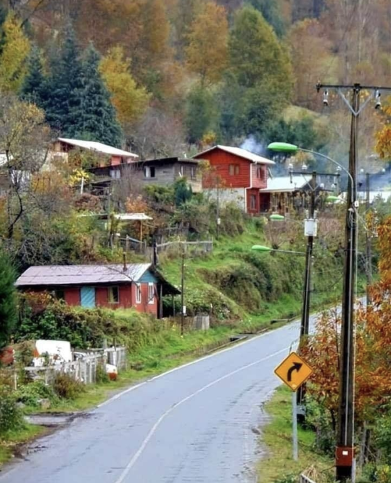 Transmitir los saberes mapuches a las nuevas generaciones, es fortalecer el territorio